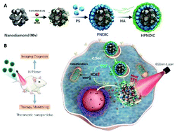 Graphical abstract: Multicomponent-assembled nanodiamond hybrids for targeted and imaging guided triple-negative breast cancer therapy via a ternary collaborative strategy