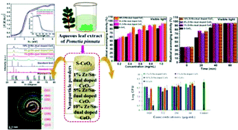 Graphical abstract: Green synthesis of CeO2 and Zr/Sn-dual doped CeO2 nanoparticles with photoantioxidant and antibiofilm activities