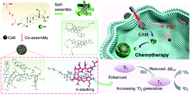 Graphical abstract: Exploring the self-assembly mechanism and effective synergistic antitumor chemophototherapy of a biodegradable and glutathione responsive ursolic acid prodrug mediated photosensitive nanodrug
