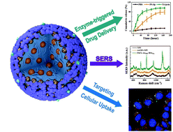 Graphical abstract: Fabrication of PεCL–AuNP–BSA core–shell–corona nanoparticles for flexible spatiotemporal drug delivery and SERS detection