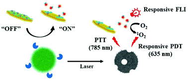 Graphical abstract: Hyaluronidase-responsive phototheranostic nanoagents for fluorescence imaging and photothermal/photodynamic therapy of methicillin-resistant Staphylococcus aureus infections