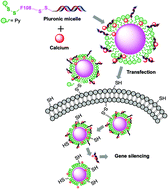 Graphical abstract: Redox responsive Pluronic micelle mediated delivery of functional siRNA: a modular nano-assembly for targeted delivery