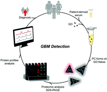 Graphical abstract: Protein corona profile of graphene oxide allows detection of glioblastoma multiforme using a simple one-dimensional gel electrophoresis technique: a proof-of-concept study