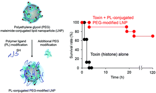 Graphical abstract: Design of abiotic polymer ligand-decorated lipid nanoparticles for effective neutralization of target toxins in the blood