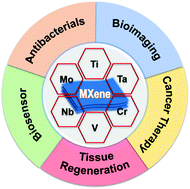 Graphical abstract: Fascinating MXene nanomaterials: emerging opportunities in the biomedical field