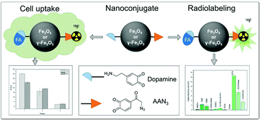 Graphical abstract: 18F-Labeled magnetic nanovectors for bimodal cellular imaging