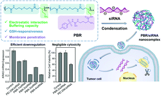 Graphical abstract: Bioreducible, arginine-rich polydisulfide-based siRNA nanocomplexes with excellent tumor penetration for efficient gene silencing