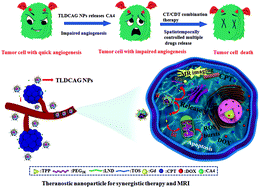 Graphical abstract: Endogenous reactive oxygen species burst induced and spatiotemporally controlled multiple drug release by traceable nanoparticles for enhancing antitumor efficacy