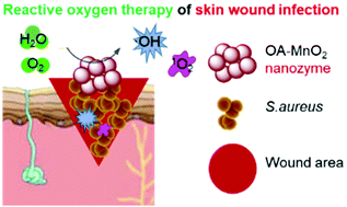 Graphical abstract: Manganese dioxide nanozyme for reactive oxygen therapy of bacterial infection and wound healing