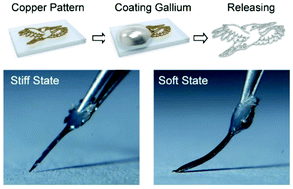 Graphical abstract: Solution-based fabrication of mechanically transformative materials for implantable applications