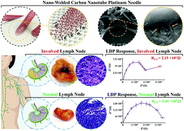 Graphical abstract: The design and fabrication of nanoengineered platinum needles with laser welded carbon nanotubes (CNTs) for the electrochemical biosensing of cancer lymph nodes