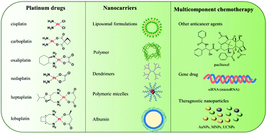 Graphical abstract: Platinum-based chemotherapy via nanocarriers and co-delivery of multiple drugs