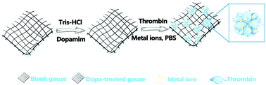 Graphical abstract: Preparation and application of quick hemostatic gauze based on biomimetic mineralized thrombin