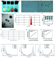 Graphical abstract: Dual-sonosensitizer loaded phase-transition nanoparticles with tumor-targeting for synergistically enhanced sonodynamic therapy
