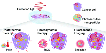 Graphical abstract: Antibody-functionalized theranostic protein nanoparticles for the synergistic deep red fluorescence imaging and multimodal therapy of ovarian cancer