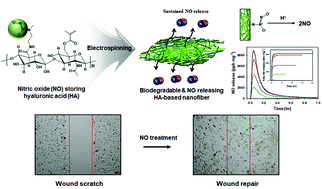 Graphical abstract: Biodegradable hyaluronic acid-based, nitric oxide-releasing nanofibers for potential wound healing applications