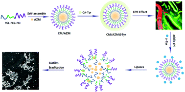 Graphical abstract: Step-by-step dual stimuli-responsive nanoparticles for efficient bacterial biofilm eradication