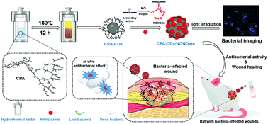 Graphical abstract: Fluorescent carbon dots with a high nitric oxide payload for effective antibacterial activity and bacterial imaging