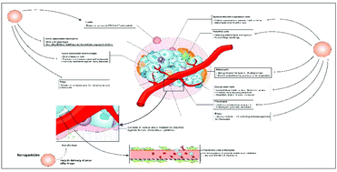 Graphical abstract: Tumor microenvironment and nanotherapeutics: intruding the tumor fort