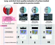 Graphical abstract: Superhydrophilic multifunctional nanotextured titanium dental implants: in vivo short and long-term response in a porcine model