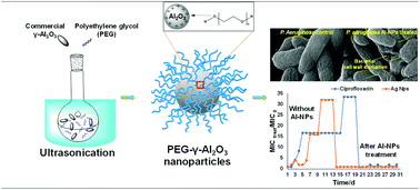 Graphical abstract: An aluminum lining to the dark cloud of silver resistance: harnessing the power of potent antimicrobial activity of γ-alumina nanoparticles