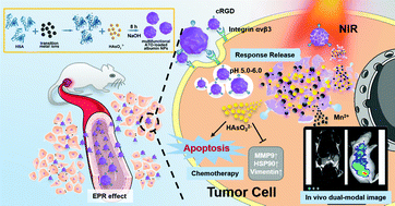Graphical abstract: Arsenite-loaded albumin nanoparticles for targeted synergistic chemo-photothermal therapy of HCC
