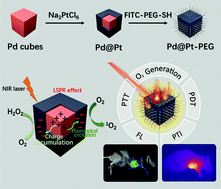 Graphical abstract: Palladium cubes with Pt shell deposition for localized surface plasmon resonance enhanced photodynamic and photothermal therapy of hypoxic tumors