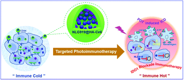 Graphical abstract: Light-responsive hyaluronic acid nanomicelles co-loaded with an IDO inhibitor focus targeted photoimmunotherapy against “immune cold” cancer