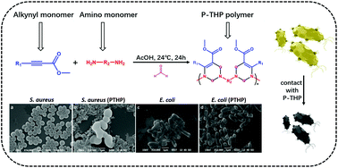 Graphical abstract: Synthesis of poly-tetrahydropyrimidine antibacterial polymers and research of their basic properties