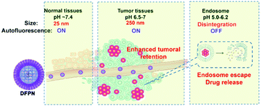 Graphical abstract: A confined crosslinking strategy towards an intelligent organosilica–micellar hybrid drug delivery system