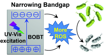 Graphical abstract: Bismuth telluride functionalized bismuth oxychloride used for enhancing antibacterial activity and wound healing efficacy with sunlight irradiation