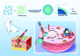 Graphical abstract: IR-808 loaded nanoethosomes for aggregation-enhanced synergistic transdermal photodynamic/photothermal treatment of hypertrophic scars