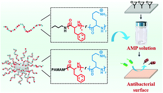 Graphical abstract: Preparation of antibacterial polypeptides with different topologies and their antibacterial properties