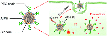 Graphical abstract: Semiconducting polymer nanoparticles for NIR-II fluorescence imaging-guided photothermal/thermodynamic combination therapy