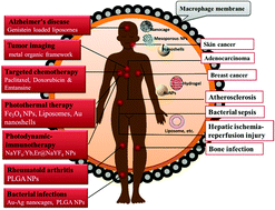 Graphical abstract: Macrophage membrane coated nanoparticles: a biomimetic approach for enhanced and targeted delivery