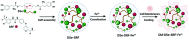 Graphical abstract: A biomimetic nanodrug self-assembled from small molecules for enhanced ferroptosis therapy