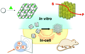 Graphical abstract: Engineering of protein crystals for use as solid biomaterials