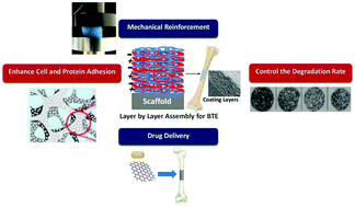 Graphical abstract: Advancing bone tissue engineering one layer at a time: a layer-by-layer assembly approach to 3D bone scaffold materials