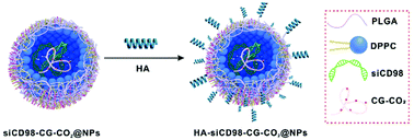 Graphical abstract: An oral pH-activated “nano-bomb” carrier combined with berberine by regulating gene silencing and gut microbiota for site-specific treatment of ulcerative colitis