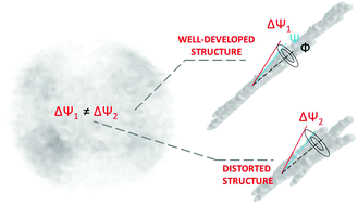 Graphical abstract: Amyloid fibrils in superstructures – local ordering revealed by polarization analysis of two-photon excited autofluorescence