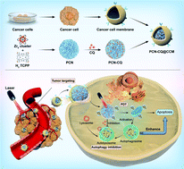 Graphical abstract: Tumor-targeted biomimetic nanoplatform precisely integrates photodynamic therapy and autophagy inhibition for collaborative treatment of oral cancer