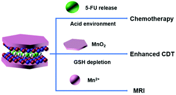 Graphical abstract: MnO2 coated nanotheranostic LDH for synergistic cascade chemo/chemodynamic cancer therapy under the guidance of MRI-targeted diagnosis