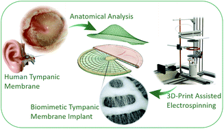 Graphical abstract: Development of electrospun, biomimetic tympanic membrane implants with tunable mechanical and oscillatory properties for myringoplasty