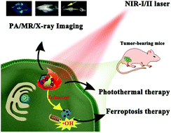 Graphical abstract: An active-passive strategy for enhanced synergistic photothermal-ferroptosis therapy in the NIR-I/II biowindows