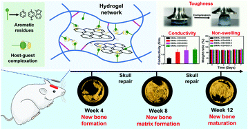 Graphical abstract: A conductive photothermal non-swelling nanocomposite hydrogel patch accelerating bone defect repair