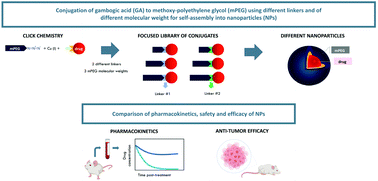 Graphical abstract: Interplay between the linker and polymer molecular weight of a self-assembling prodrug on the pharmacokinetics and therapeutic efficacy