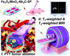 Graphical abstract: Redox chemistry-enabled stepwise surface dual nanoparticle engineering of 2D MXenes for tumor-sensitive T1 and T2 MRI-guided photonic breast-cancer hyperthermia in the NIR-II biowindow