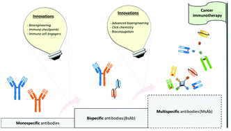 Graphical abstract: Enabling the next steps in cancer immunotherapy: from antibody-based bispecifics to multispecifics, with an evolving role for bioconjugation chemistry