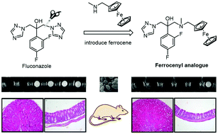 Graphical abstract: In vivo active organometallic-containing antimycotic agents