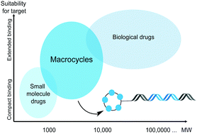 Graphical abstract: Macrocyclic DNA-encoded chemical libraries: a historical perspective